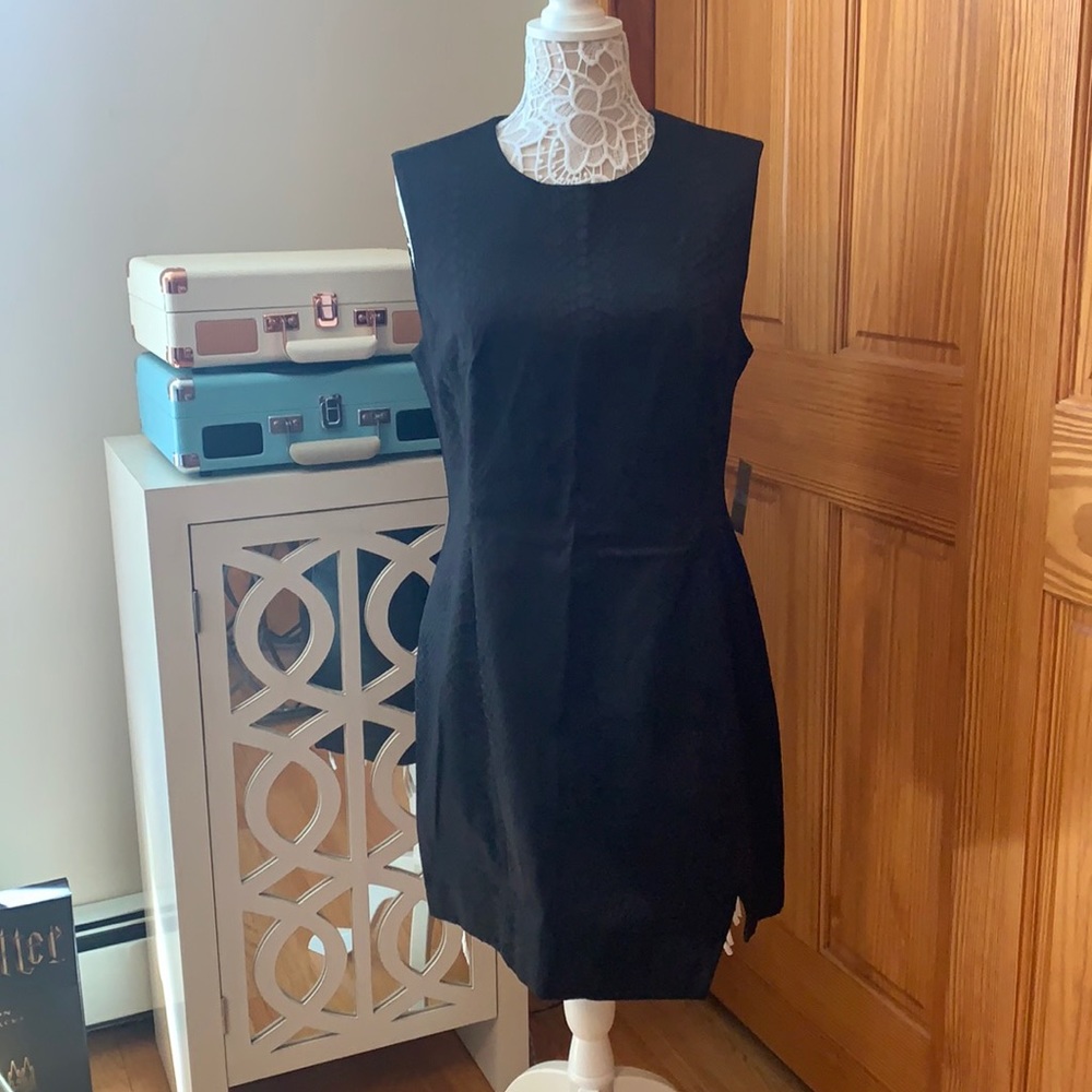 NWT Rachel Roy Dress